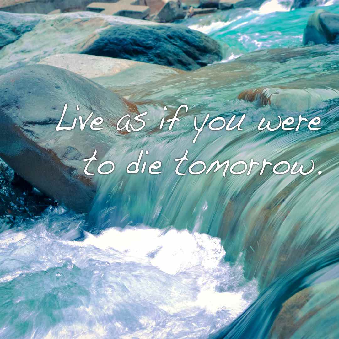 Live As If You Were To Die Tomorrow Learn As If You Were To Live Forever Tomorrow English